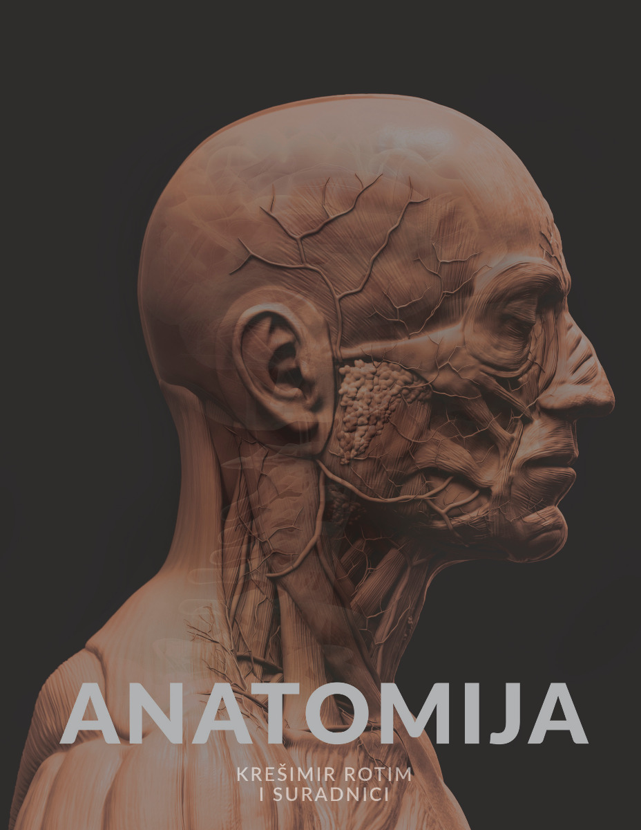 Anatomija e-izdanje